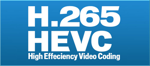 H.265 / HEVC标志
